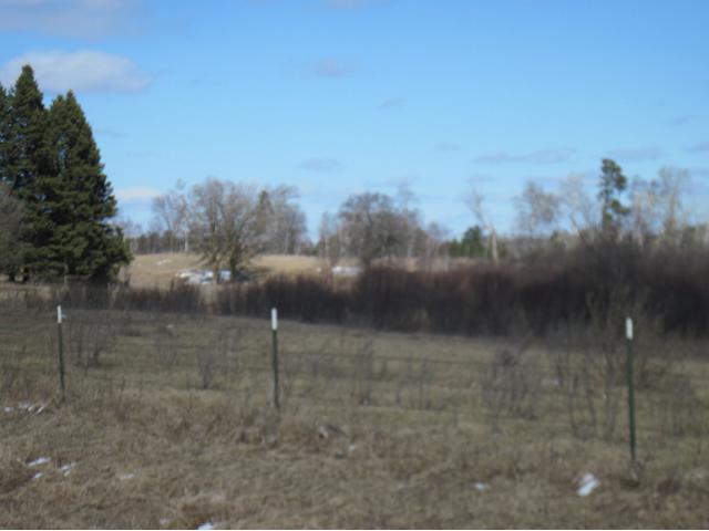 270 Central Ave N, Pine River, MN 56474 photo 5
