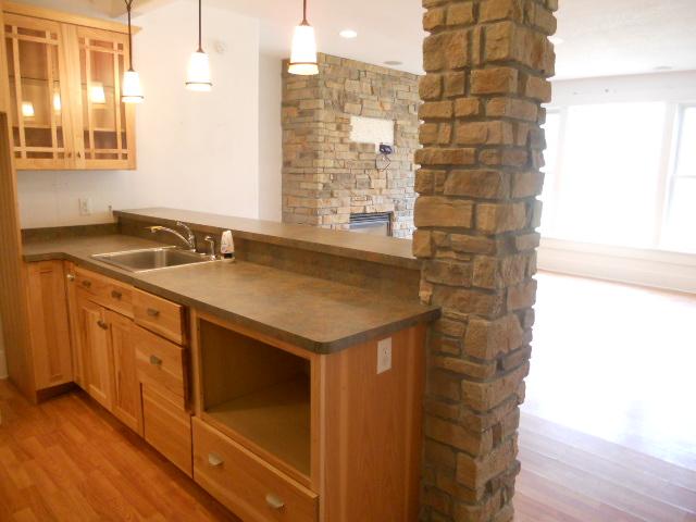 7359 Peltier Cir, Hugo, MN 55038 photo 9