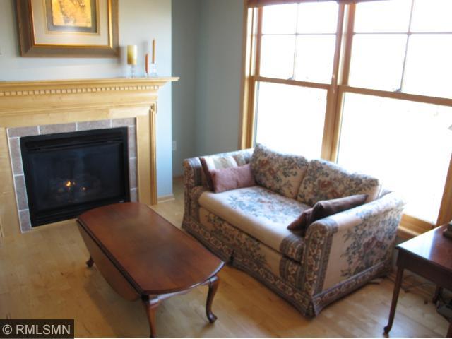 4100 Spring St #205, Spring Park, MN 55384 photo 2