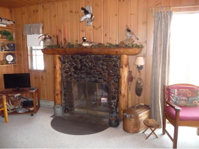 14176 Cedarleaf Point Rd, Brainerd, MN 56401 photo 5