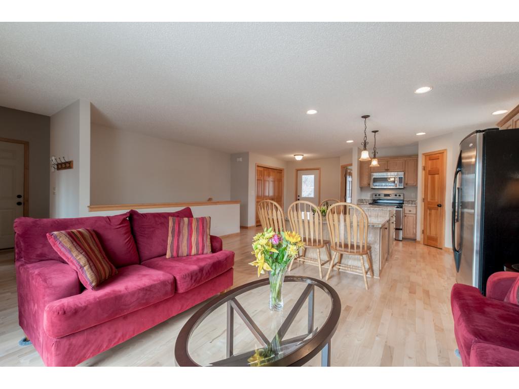 379 Nathan Ln N, Champlin, MN 55316 photo 6