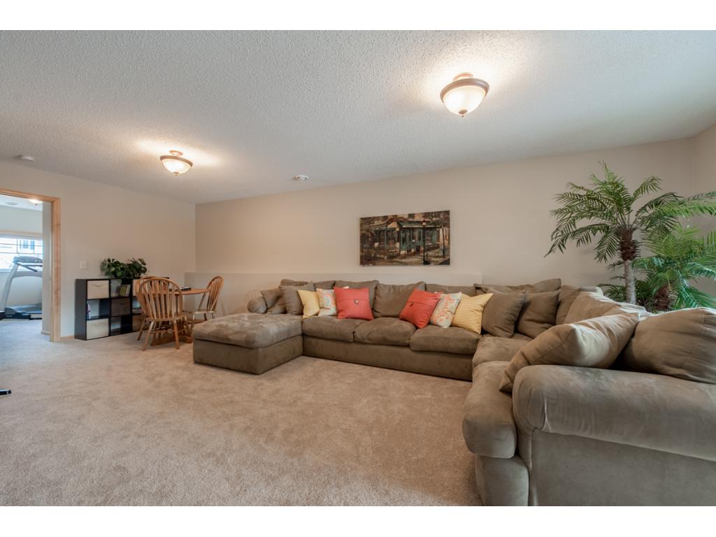 379 Nathan Ln N, Champlin, MN 55316 photo 14