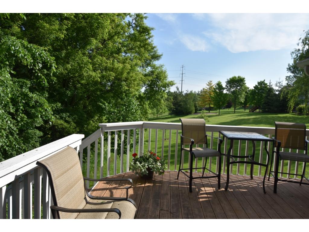 5756 94th Ave N, Loretto, MN 55357 photo 8