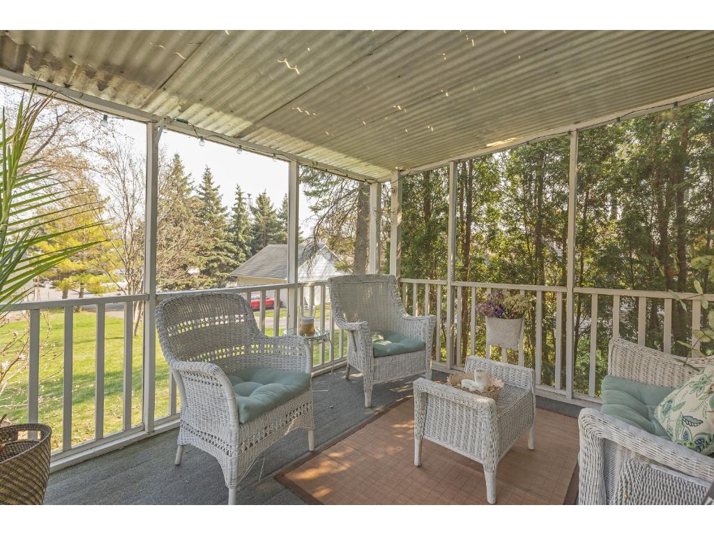 233 Center St, Excelsior, MN 55331 photo 20