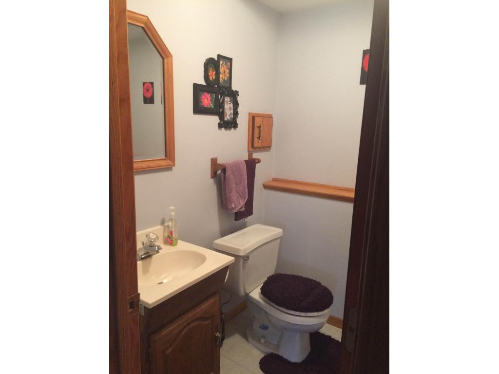 712 Division St E, Buffalo, MN 55313 photo 10