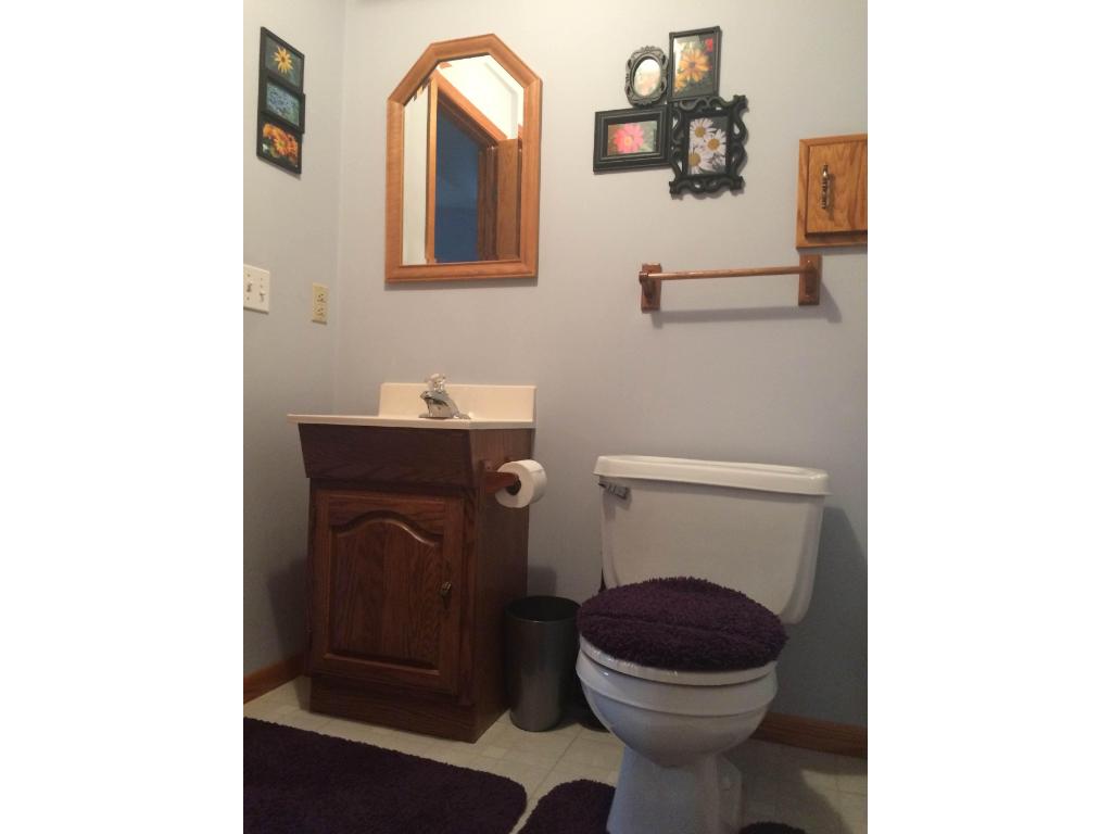 712 Division St E, Buffalo, MN 55313 photo 11