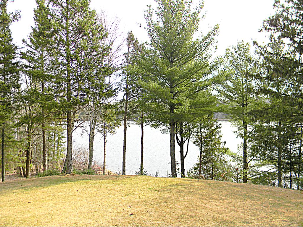 6439 Aster Trl NE, Outing, MN 56662 photo 21