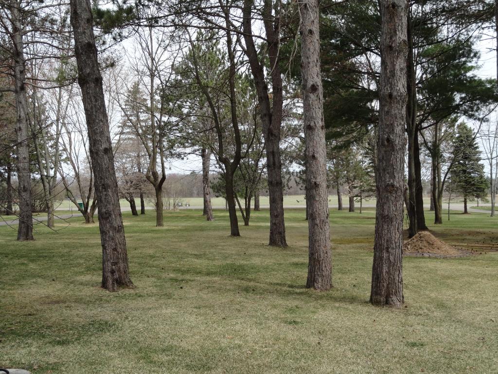 5603 320th St, Cushing, MN 56443 photo 5