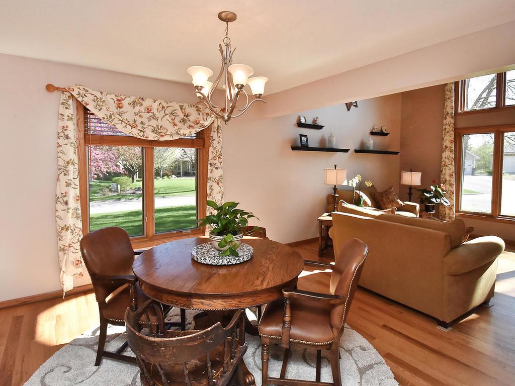 10045 Highview Ct, Champlin, MN 55316 photo 5