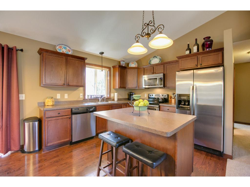 4951 109th Pl N, Champlin, MN 55316 photo 6