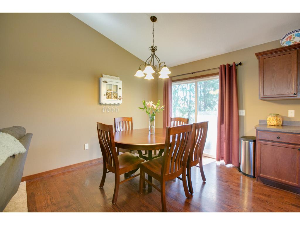 4951 109th Pl N, Champlin, MN 55316 photo 9
