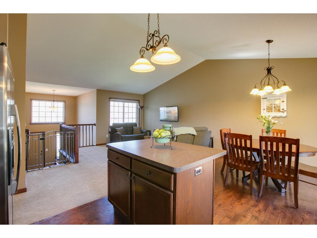 4951 109th Pl N, Champlin, MN 55316 photo 10