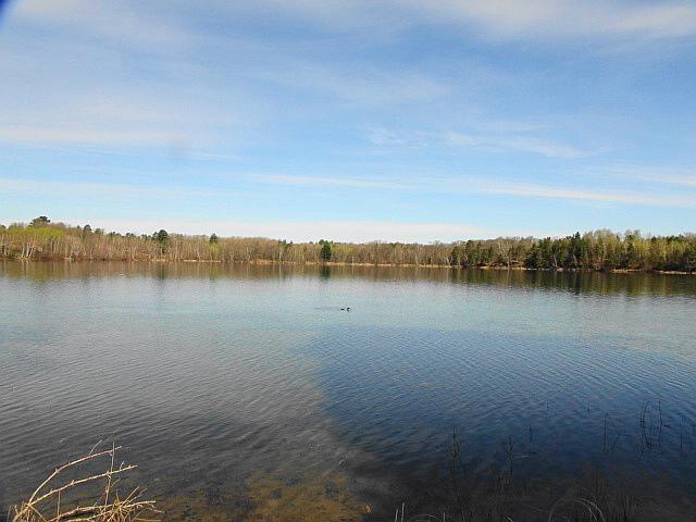 735 29th Ave NW, Backus, MN 56435 photo 5