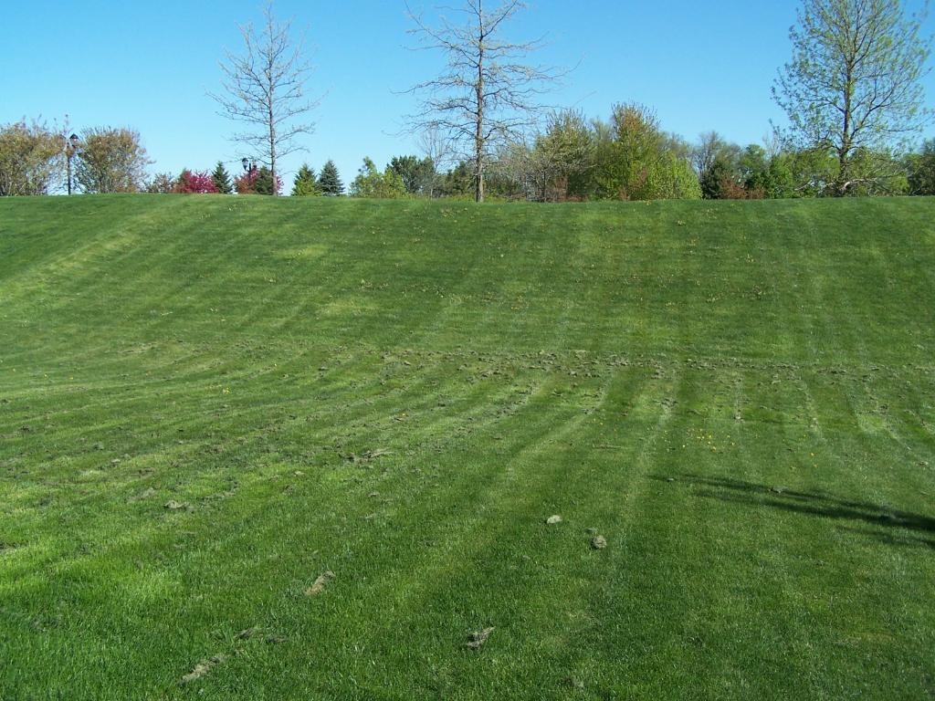2020 Cobblestone Dr, Cologne, MN 55322 photo 4