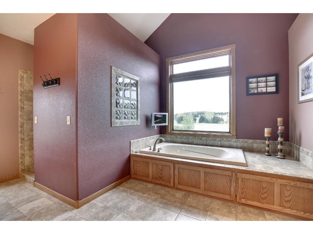 32212 141st Ave, Montgomery, MN 56069 photo 9