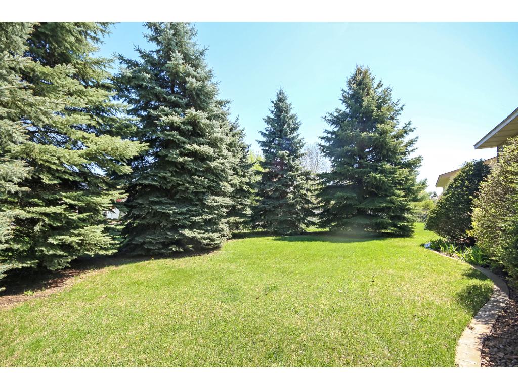 12008 Oregon Cir N, Champlin, MN 55316 photo 24