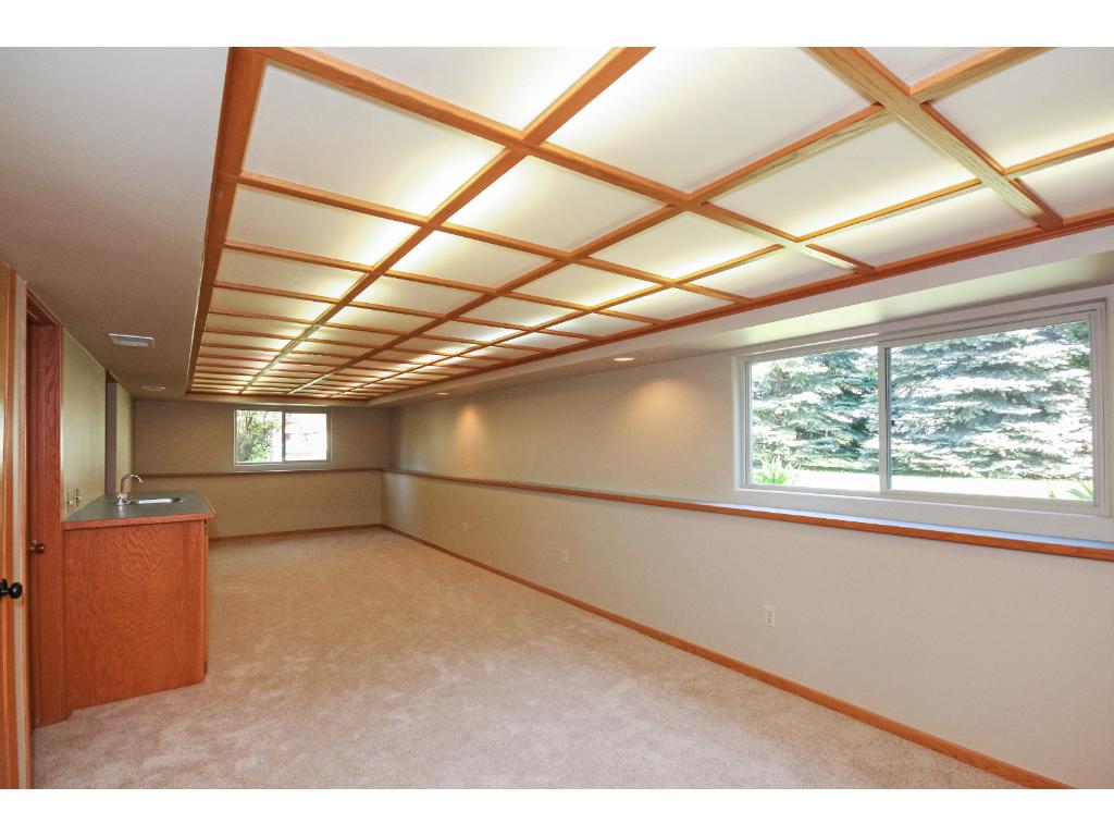 12008 Oregon Cir N, Champlin, MN 55316 photo 17