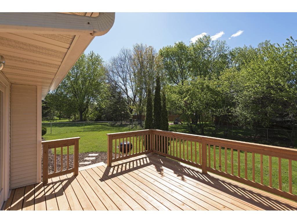 912 Ludwig Ave N, Champlin, MN 55316 photo 18