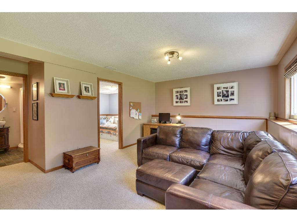 912 Ludwig Ave N, Champlin, MN 55316 photo 14