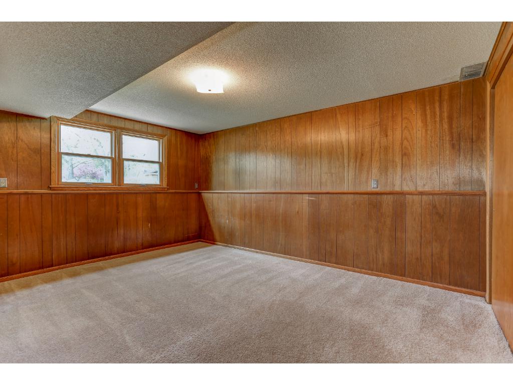 11818 Porter Dr, Champlin, MN 55316 photo 21
