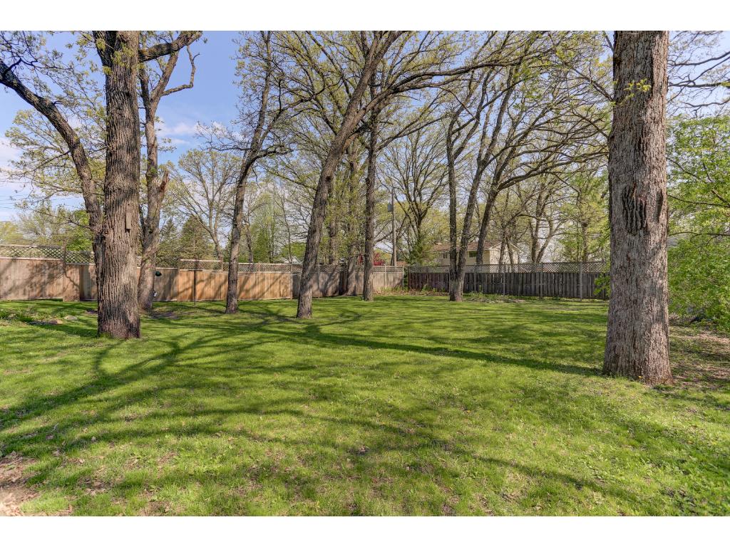 11818 Porter Dr, Champlin, MN 55316 photo 7