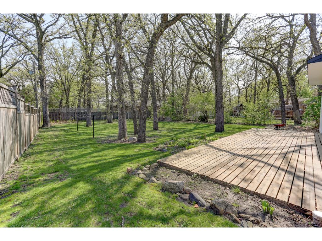 11818 Porter Dr, Champlin, MN 55316 photo 6