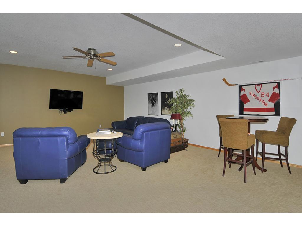 1103 Shumway Ct, Faribault, MN 55021 photo 10
