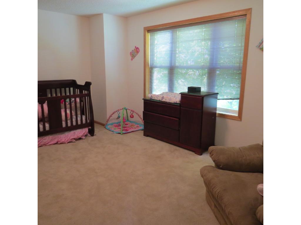 28 River Bend Pl, Chaska, MN 55318 photo 14