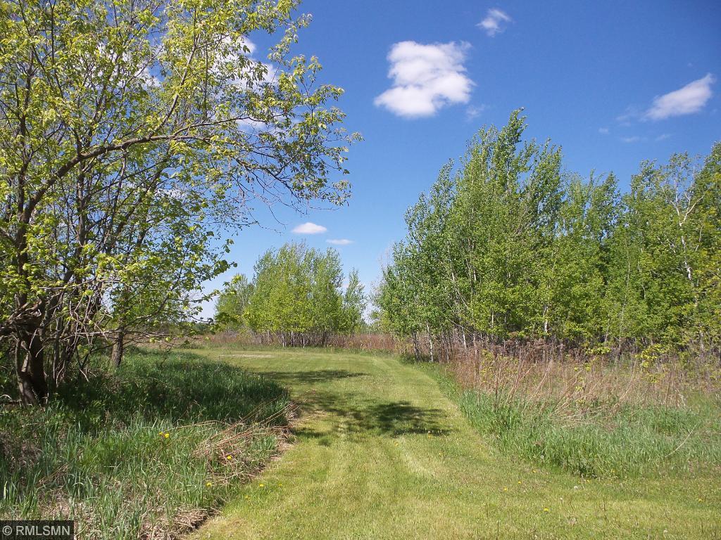 10752 100th St, Brainerd, MN 56401 photo 9