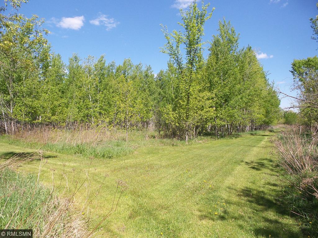 10752 100th St, Brainerd, MN 56401 photo 24