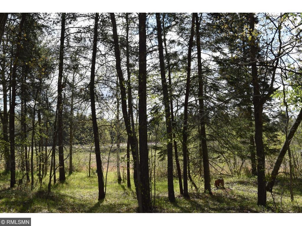 6317 County 40 NW, Hackensack, MN 56452 photo 16