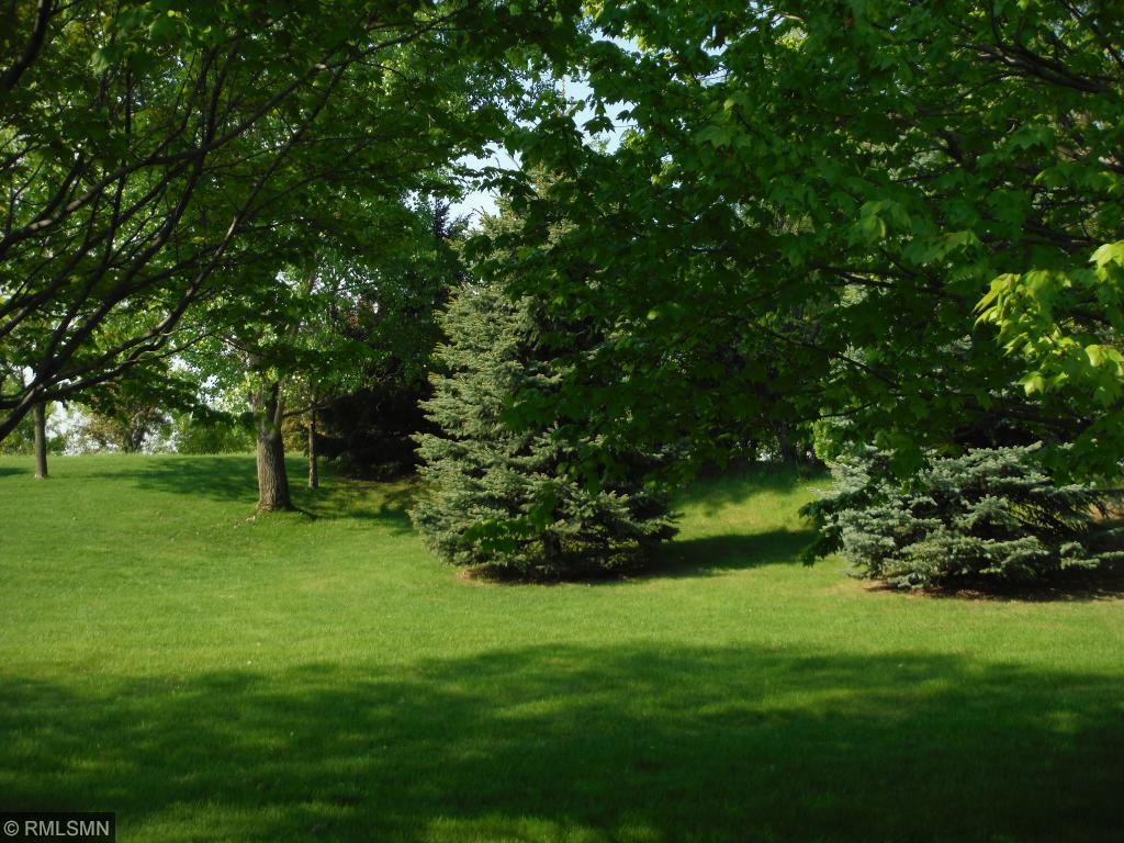 15783 Cicerone Path, Rosemount, MN 55068 photo 3