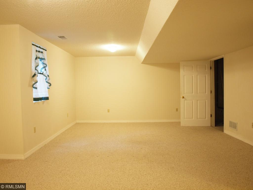 15783 Cicerone Path, Rosemount, MN 55068 photo 12