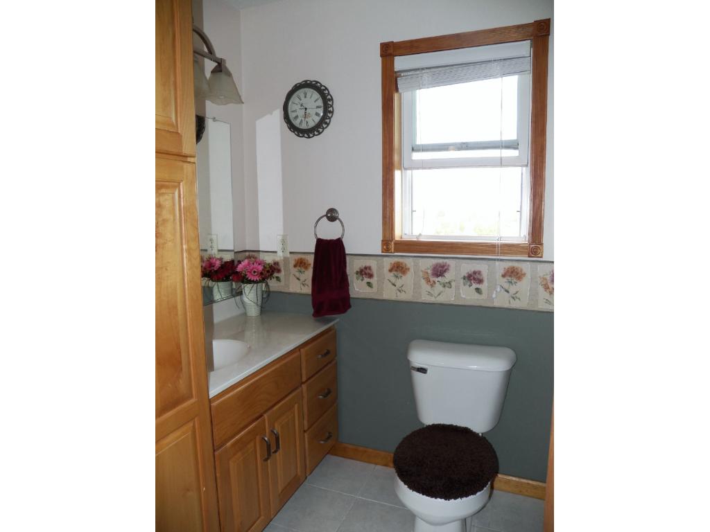 404 Patch Lake Ct, Cold Spring, MN 56320 photo 10