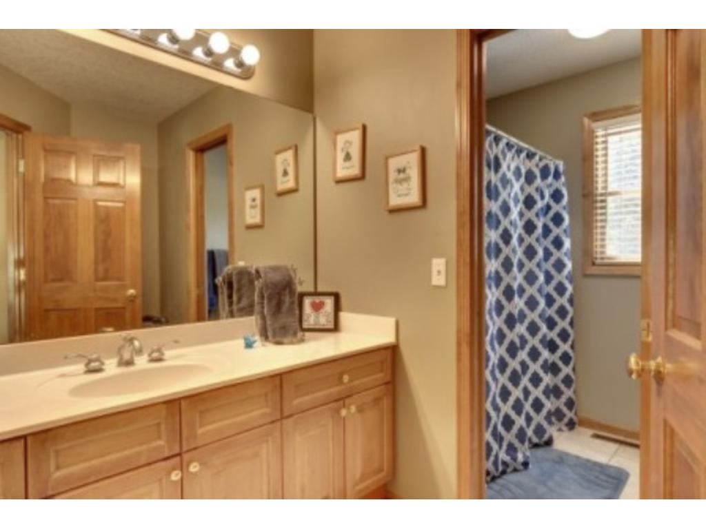 4661 Stonecliffe Dr, Eagan, MN 55122 photo 18