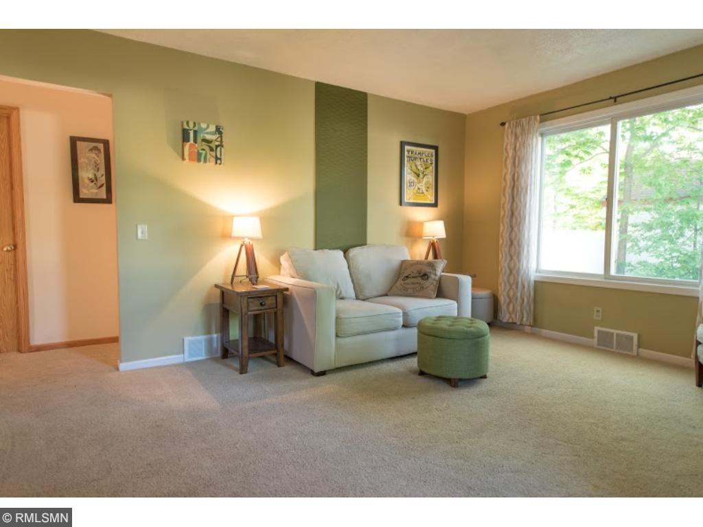 6827 E River Rd, Minneapolis, MN 55432 photo 5