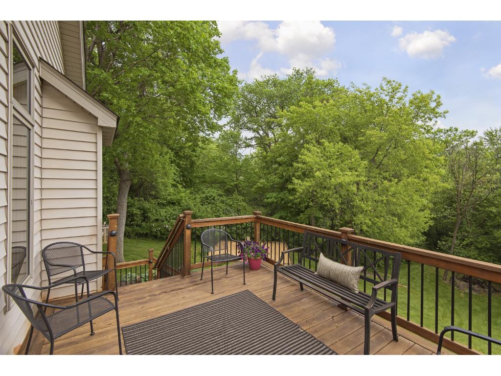 3050 Lakeshore Ave, Maple Plain, MN 55359 photo 21
