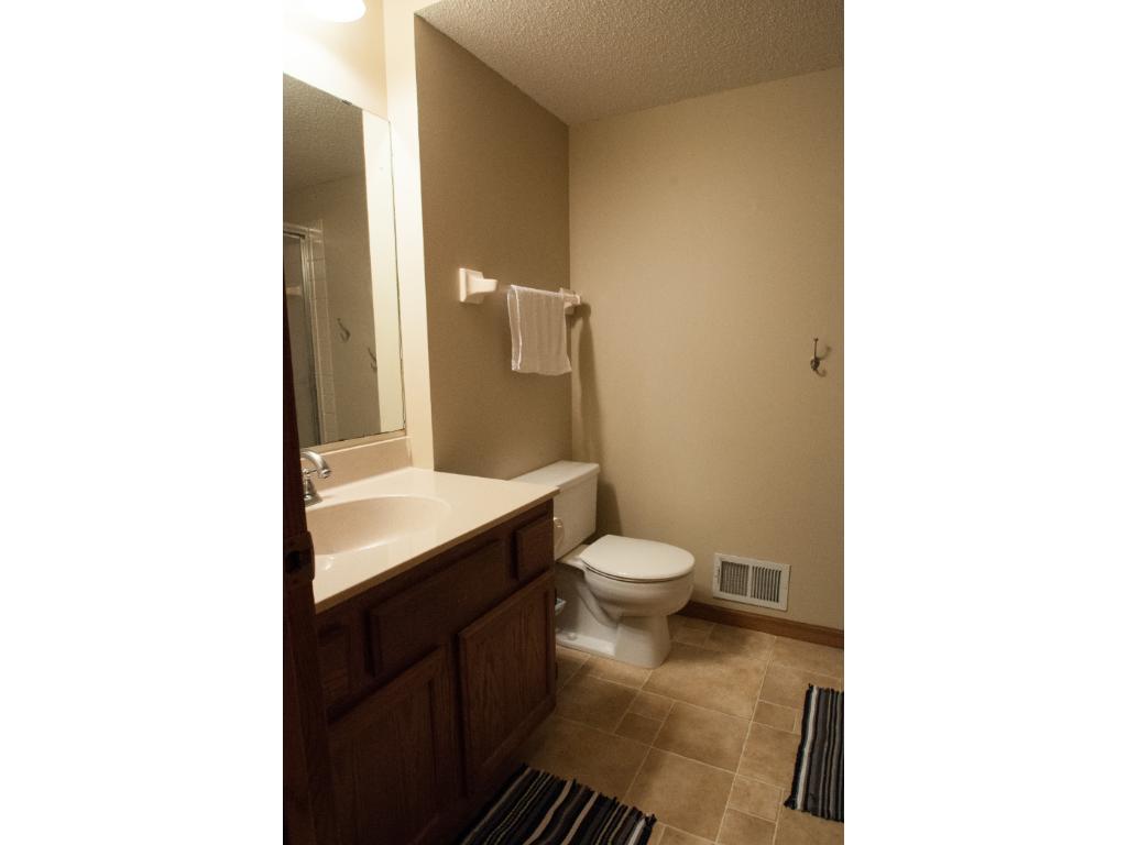 3843 Danbury Trl, Eagan, MN 55123 photo 11