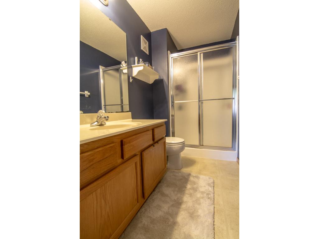 15574 Cherry Path, Rosemount, MN 55068 photo 14
