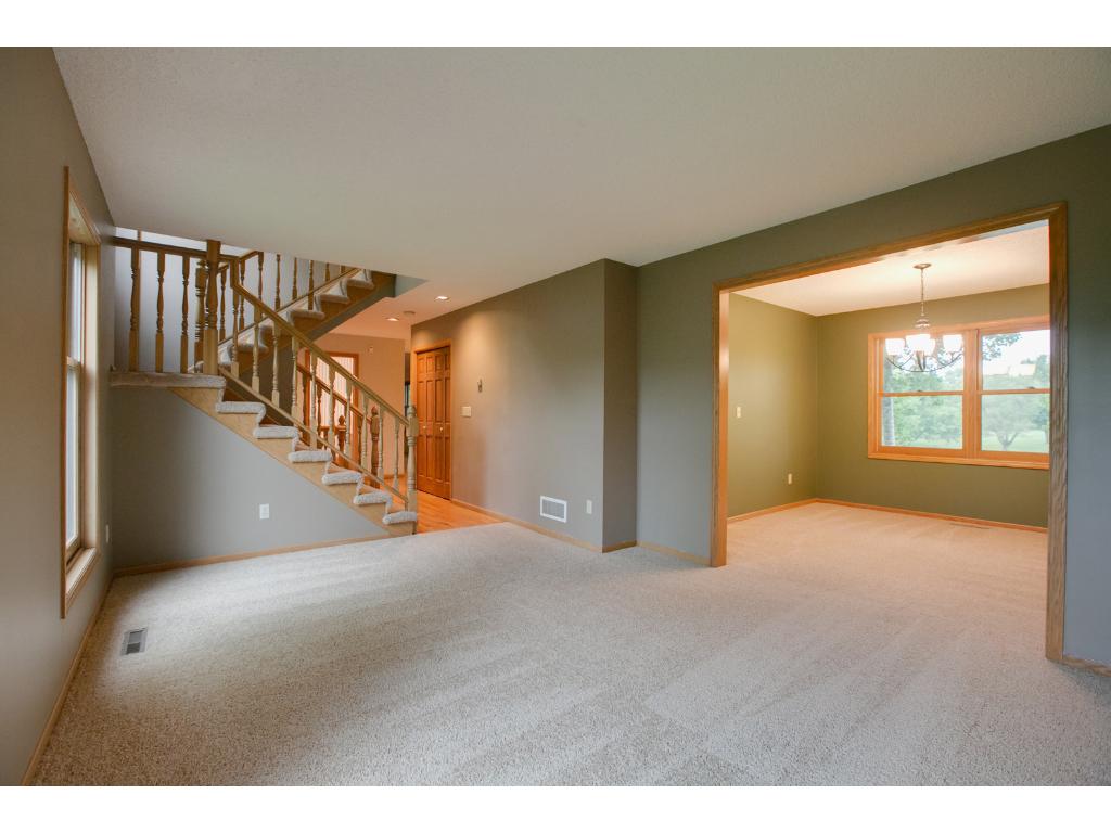 125 Mallard Ln, Loretto, MN 55357 photo 6