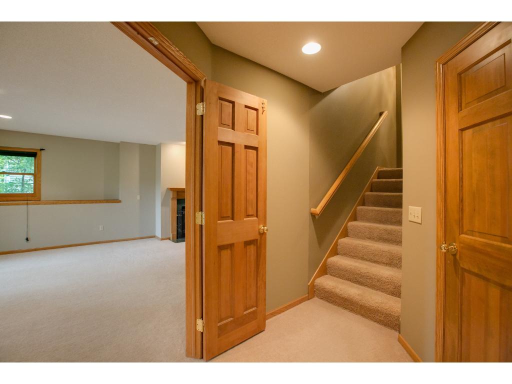 125 Mallard Ln, Loretto, MN 55357 photo 11