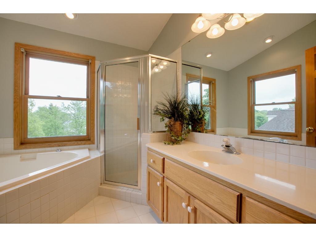 125 Mallard Ln, Loretto, MN 55357 photo 10