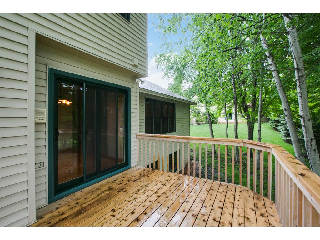 125 Mallard Ln, Loretto, MN 55357 photo 22