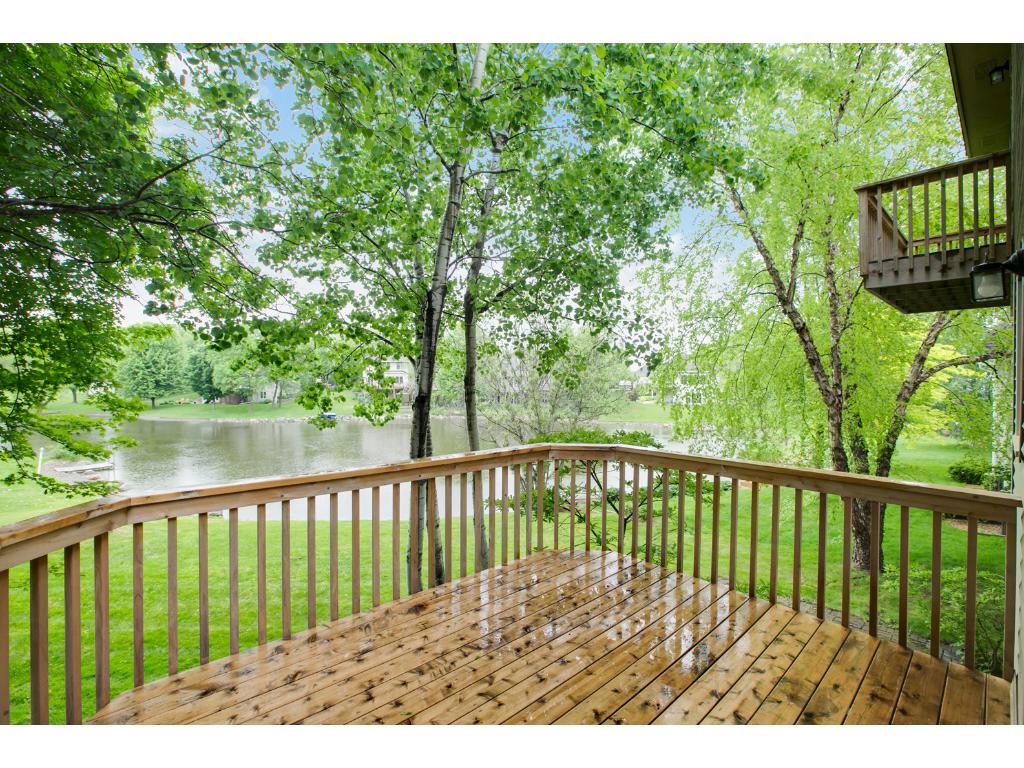 125 Mallard Ln, Loretto, MN 55357 photo 21
