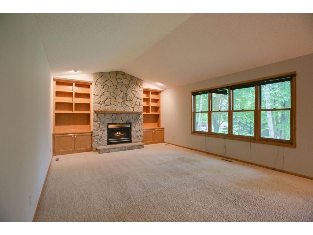 125 Mallard Ln, Loretto, MN 55357 photo 8