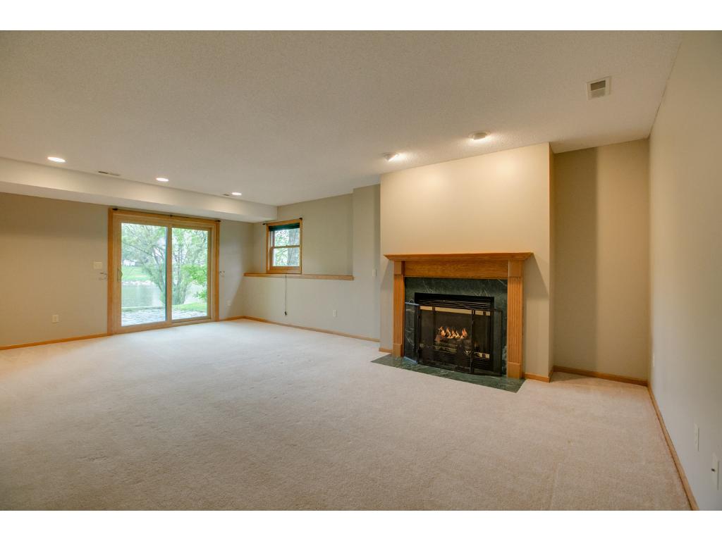 125 Mallard Ln, Loretto, MN 55357 photo 12