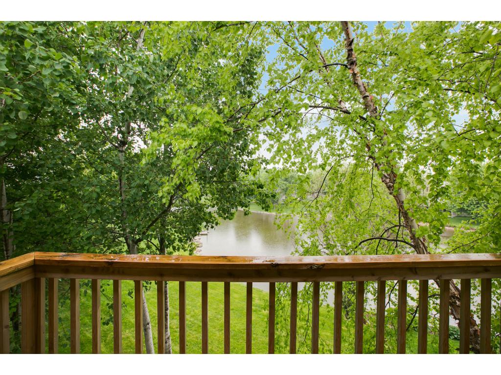 125 Mallard Ln, Loretto, MN 55357 photo 15