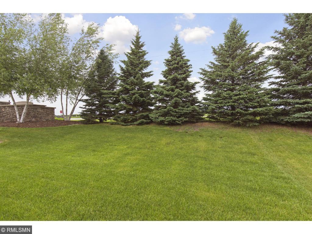 892 Forest Edge Dr, Jordan, MN 55352 photo 18