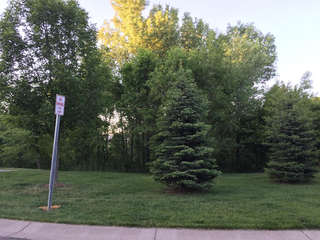 4026 Cedar Grove Ln, Eagan, MN 55122 photo 9