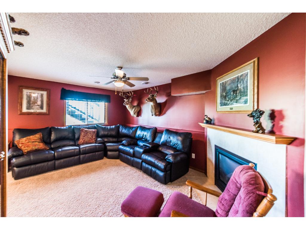 4884 Birch St, Hampton, MN 55031 photo 8